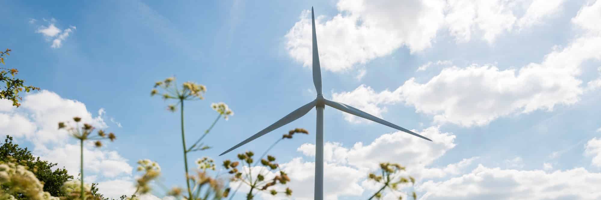 Head of asset management for renewable energies Head of asset management for renewable energies