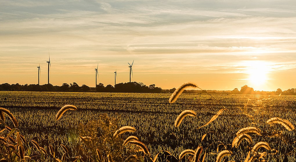 Head of Connection of Renewable Energy Projects France m/f Head of Connection of Renewable Energy Projects France m/f