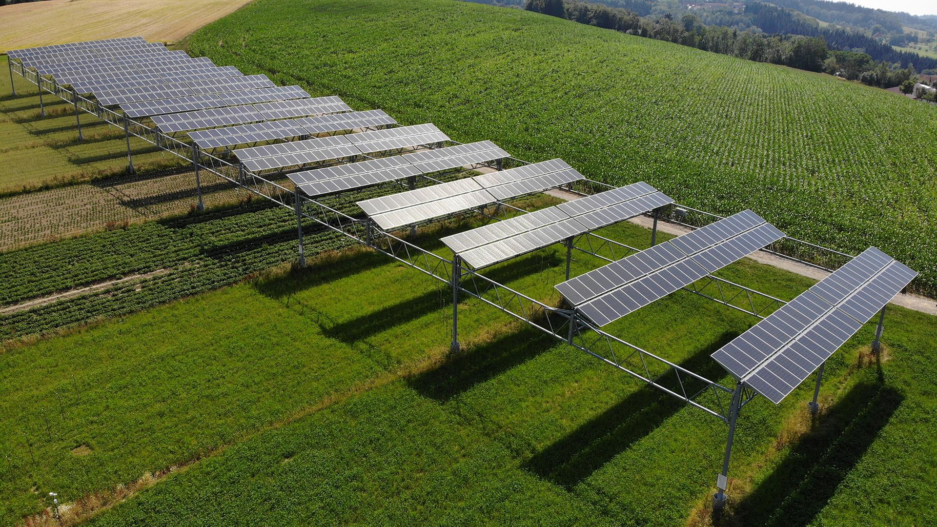 Territorial developer for PV and Agrivoltaic projects m/f Territorial developer for PV and Agrivoltaic projects m/f