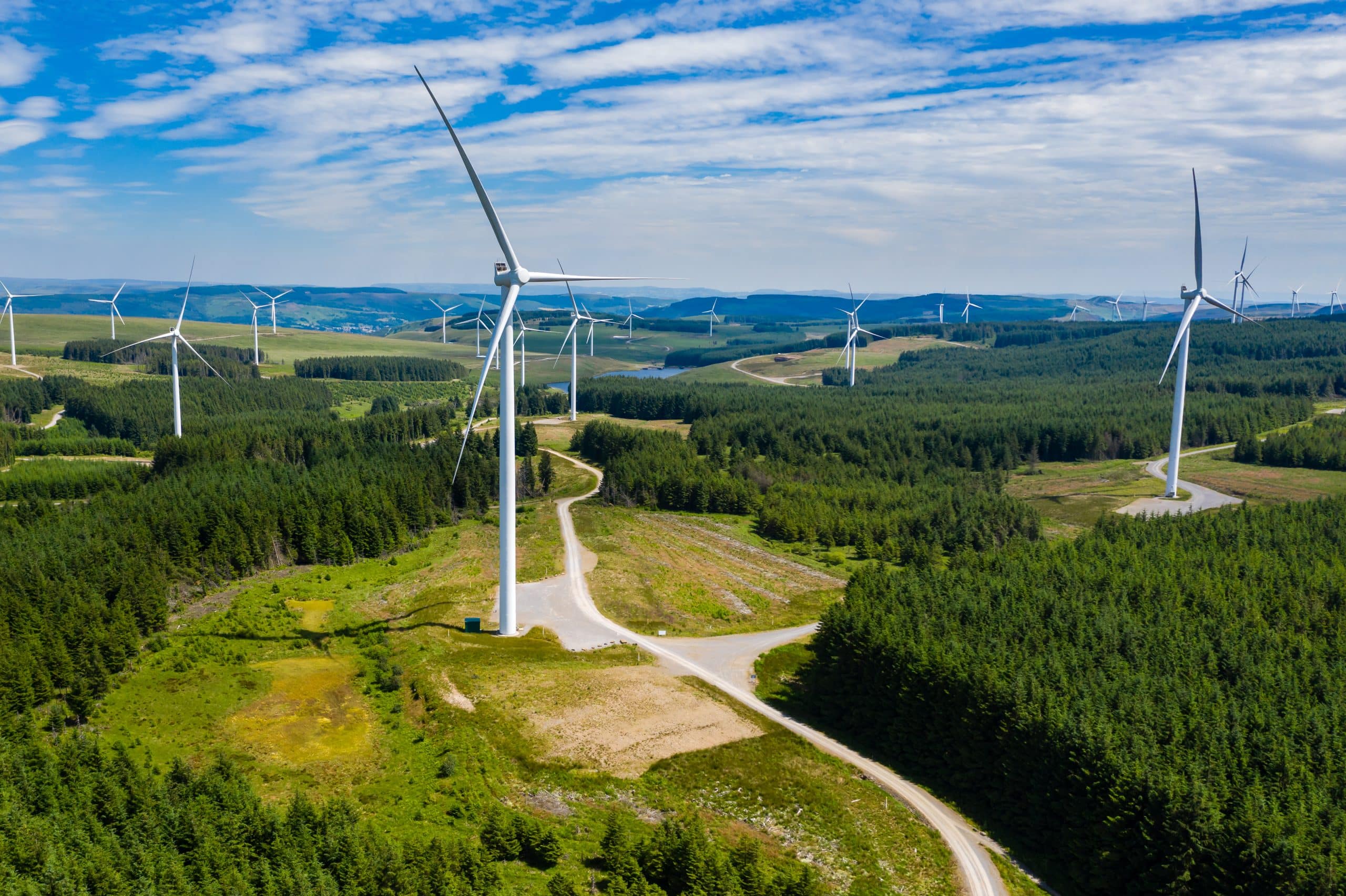Director of Renewable Energy Development France m/f Director of Renewable Energy Development France m/f
