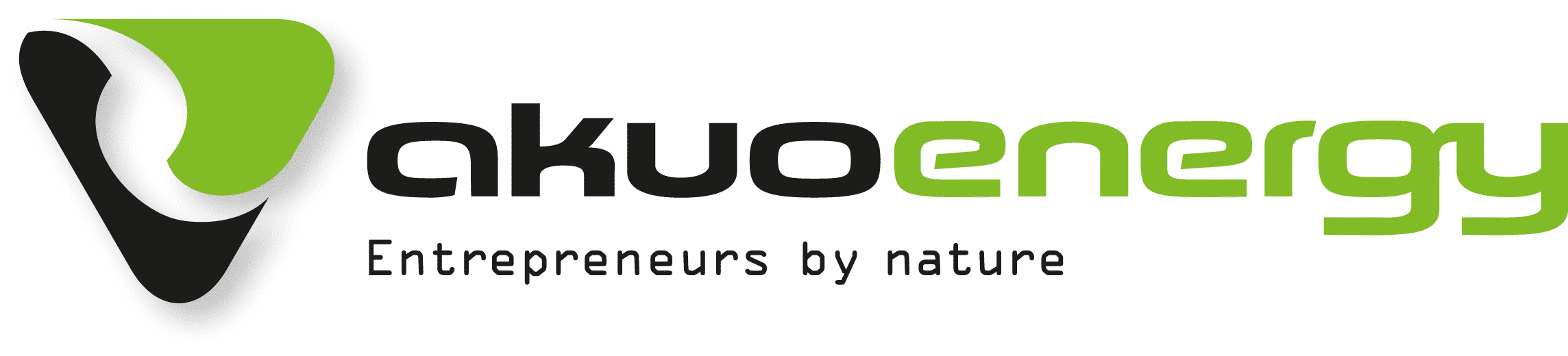 SCADA Development Manager – Storage Projects m/f